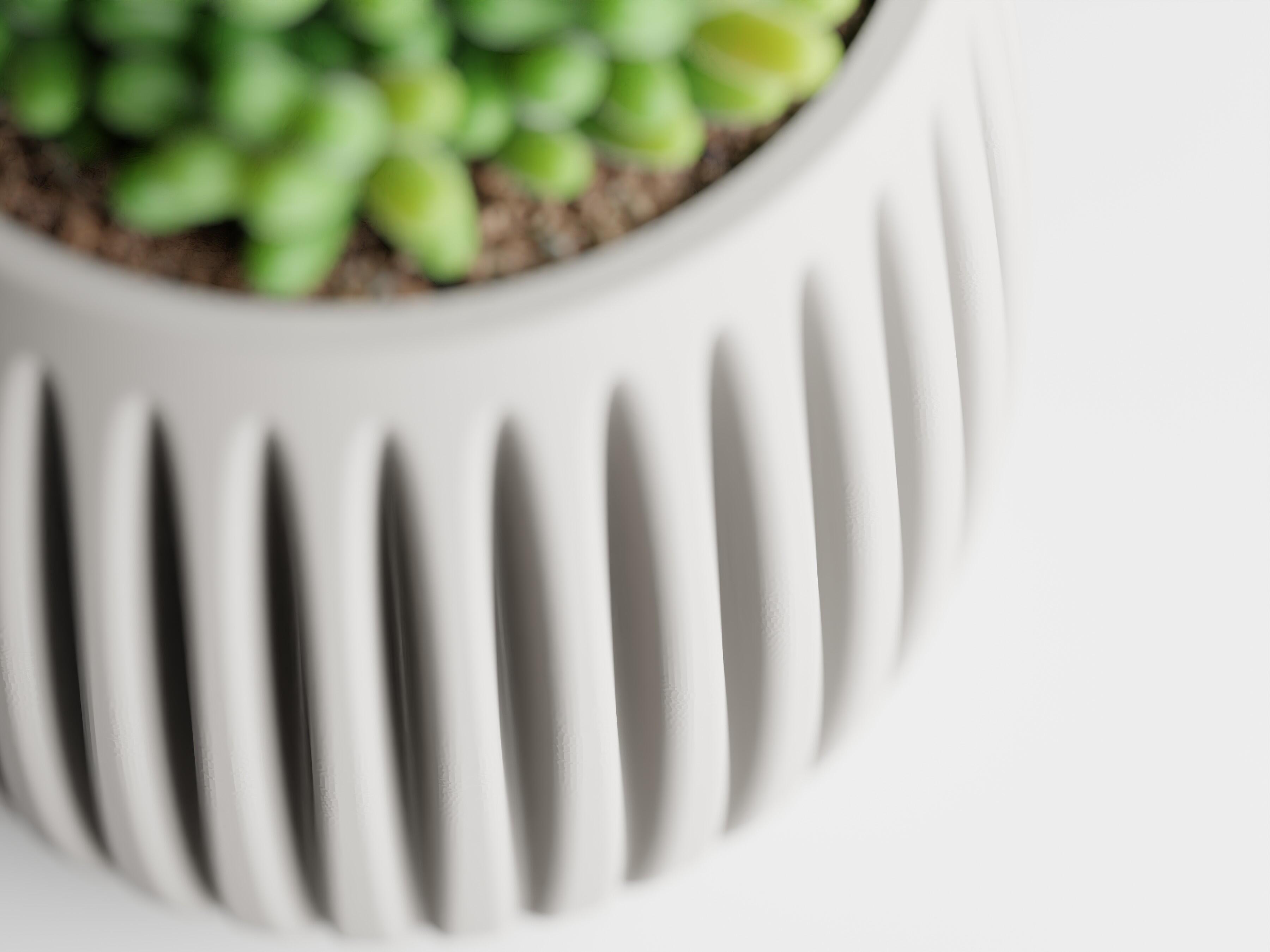 Columna – Structured lines. Organic soul.
