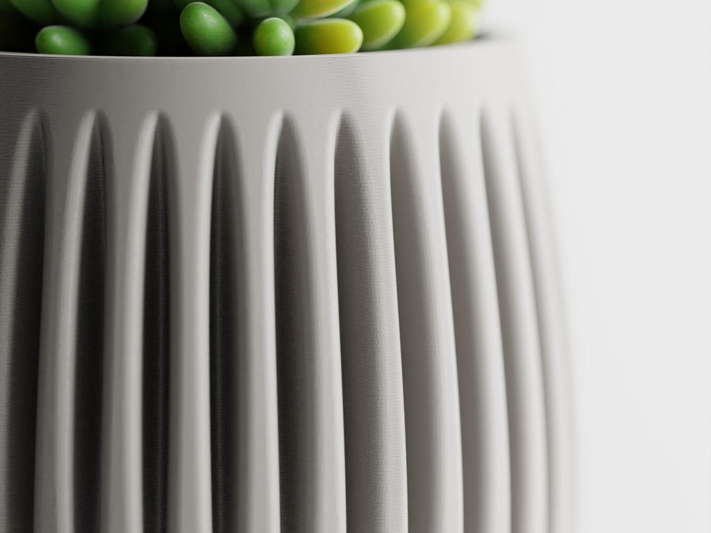 Columna – Structured lines. Organic soul.