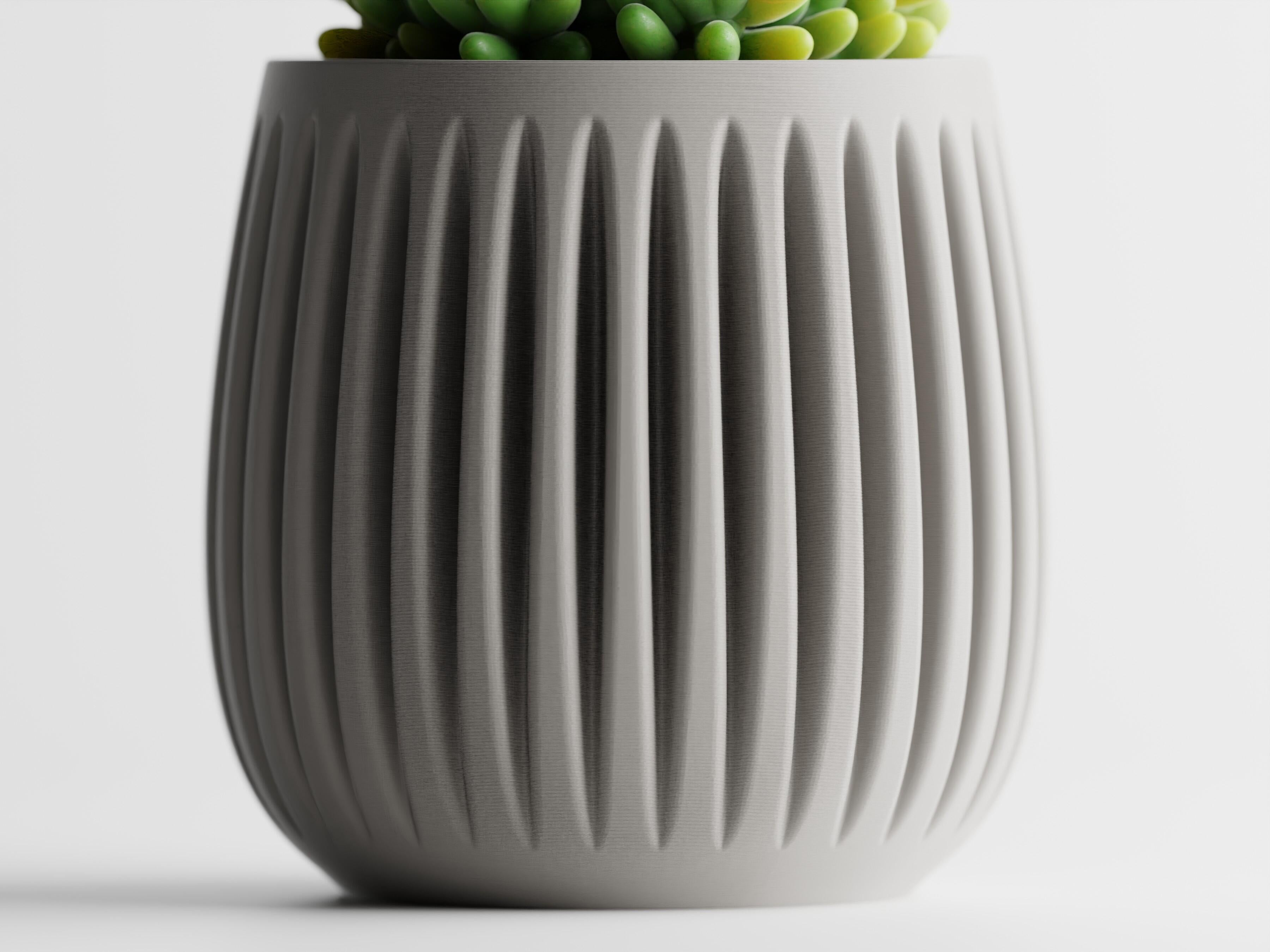 Columna – Structured lines. Organic soul.