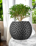 Pulp Planter Pot