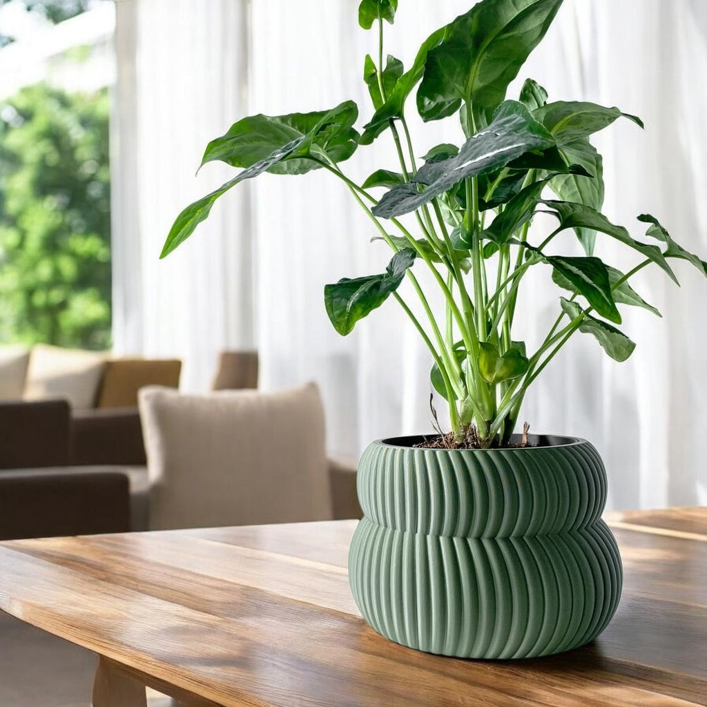 Quarn Planter