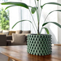 Rilvo Planter