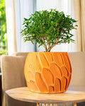 Ringo Planter Pot