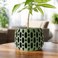 Ritar Planter
