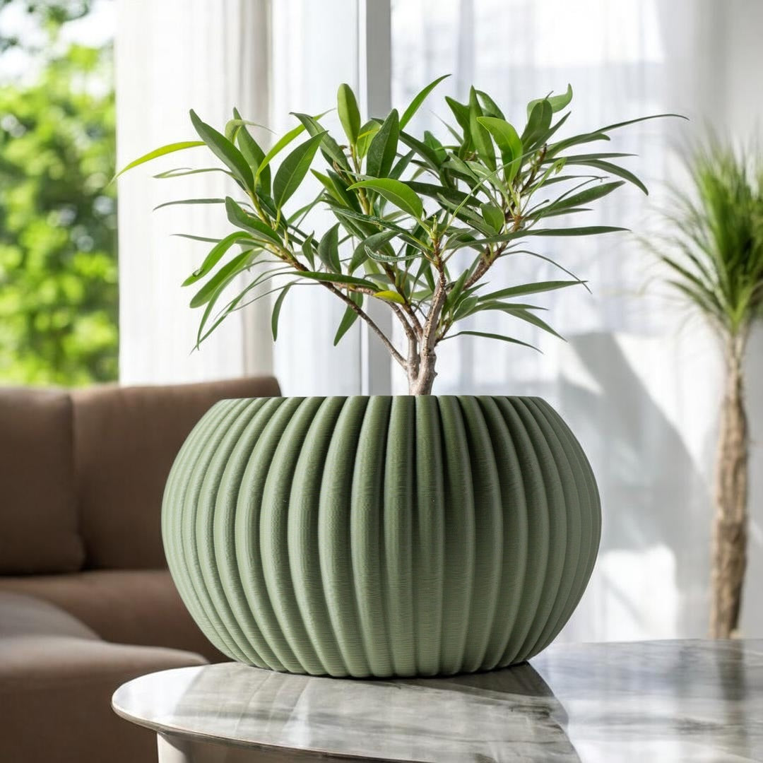 Roni Planter