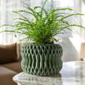 Rydan Planter