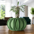 Ryne Planter Pot