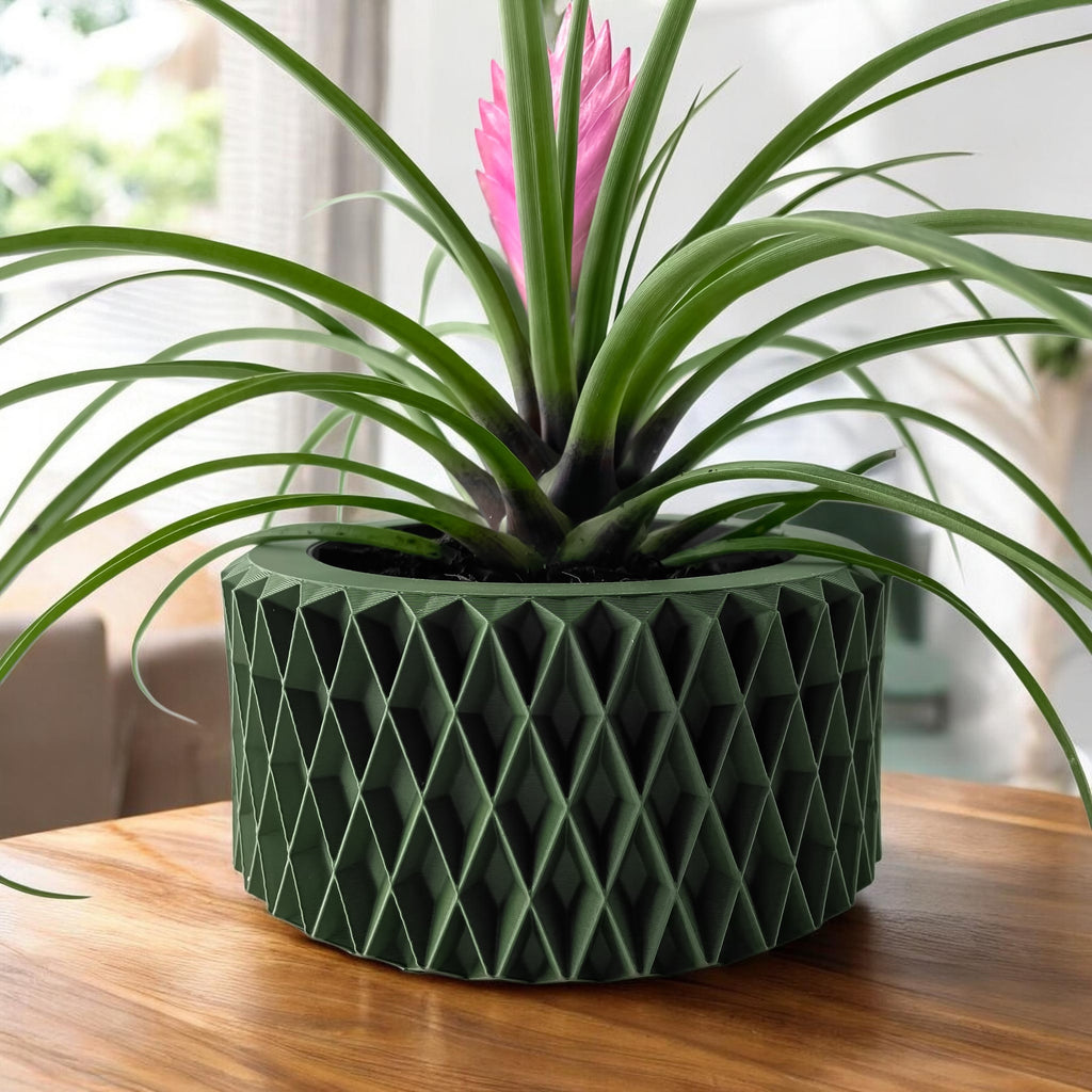 Sarv Planter