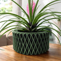 Sarv Planter