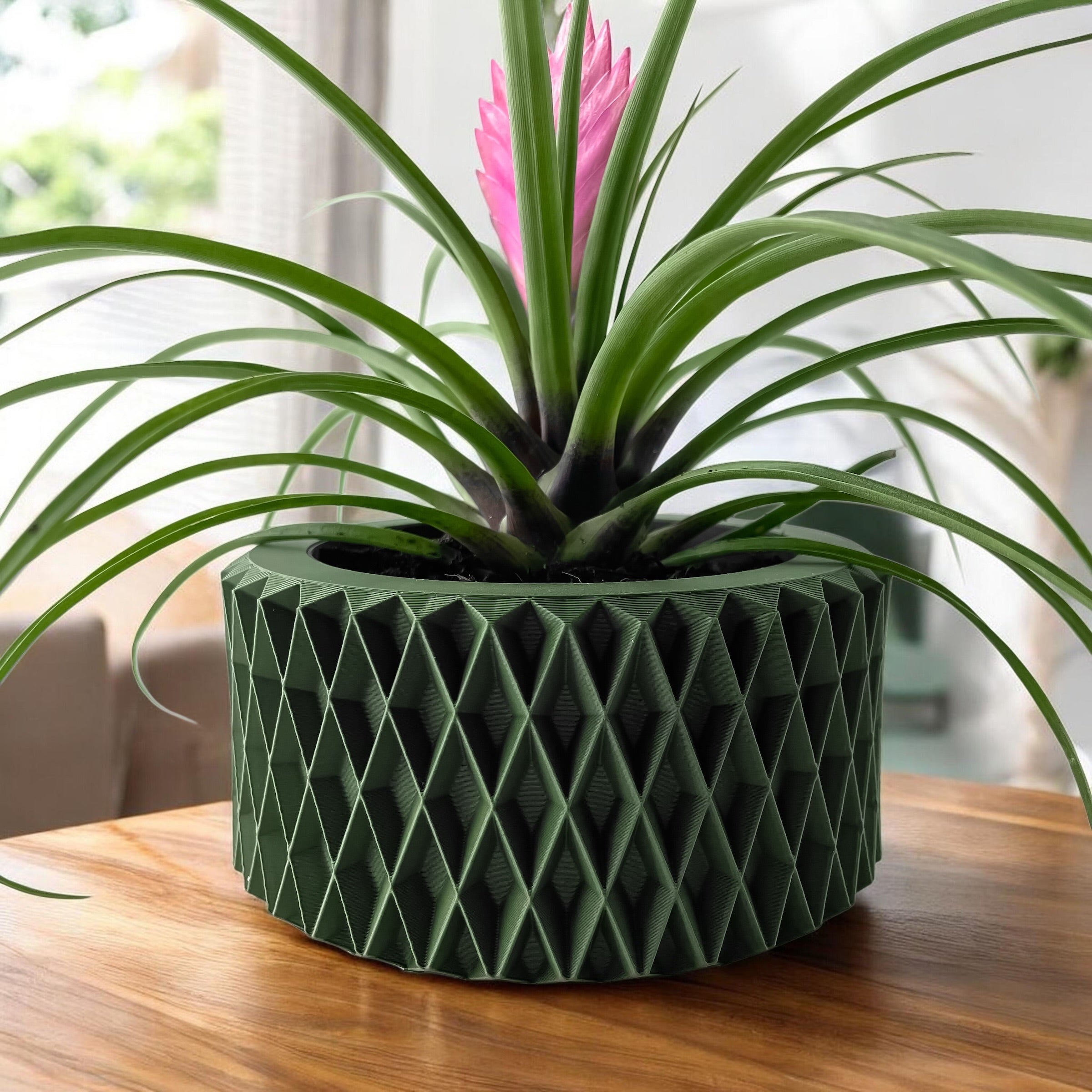 Sarv Planter
