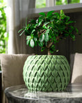 Scale Planter Pot