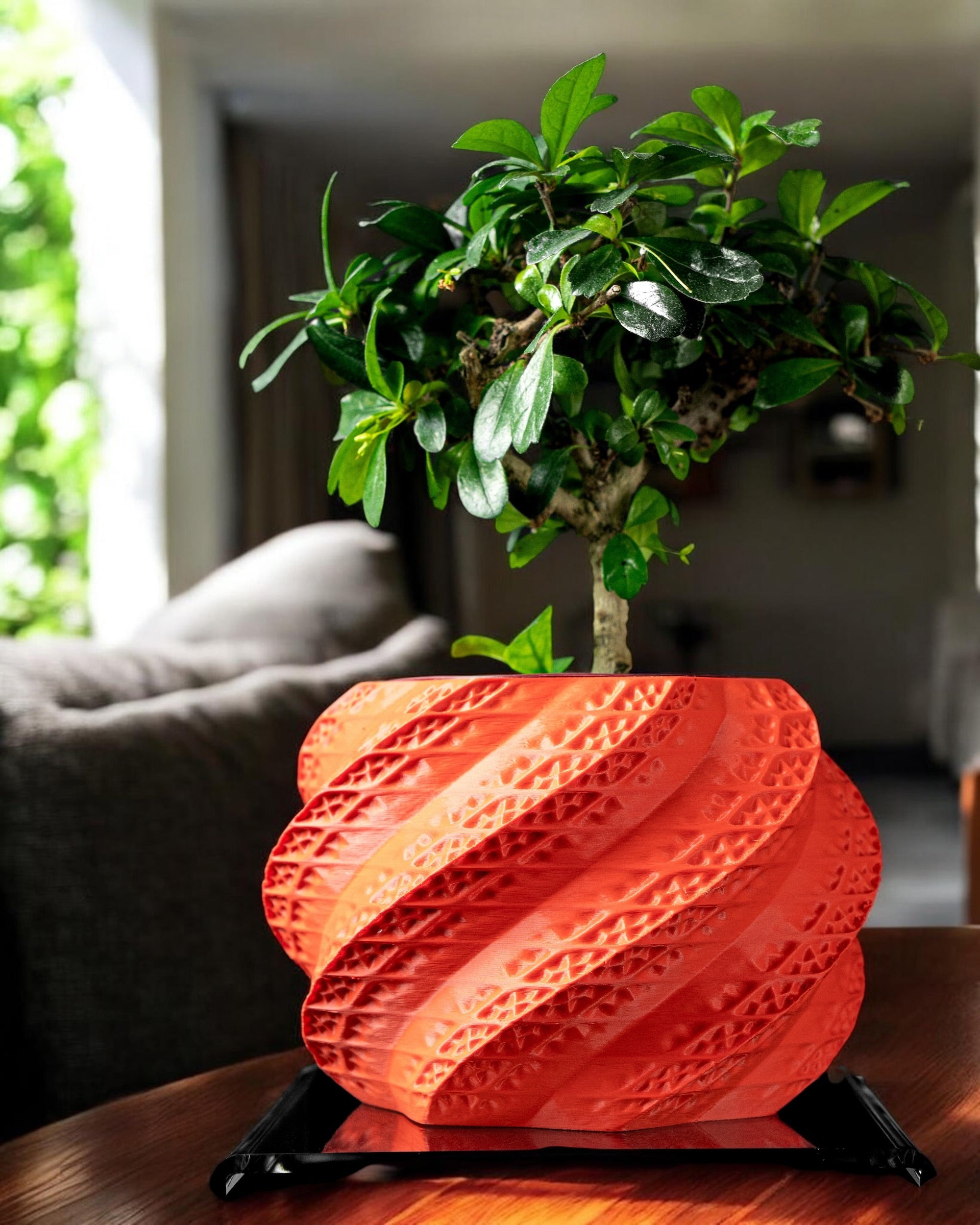 Shell Planter Pot
