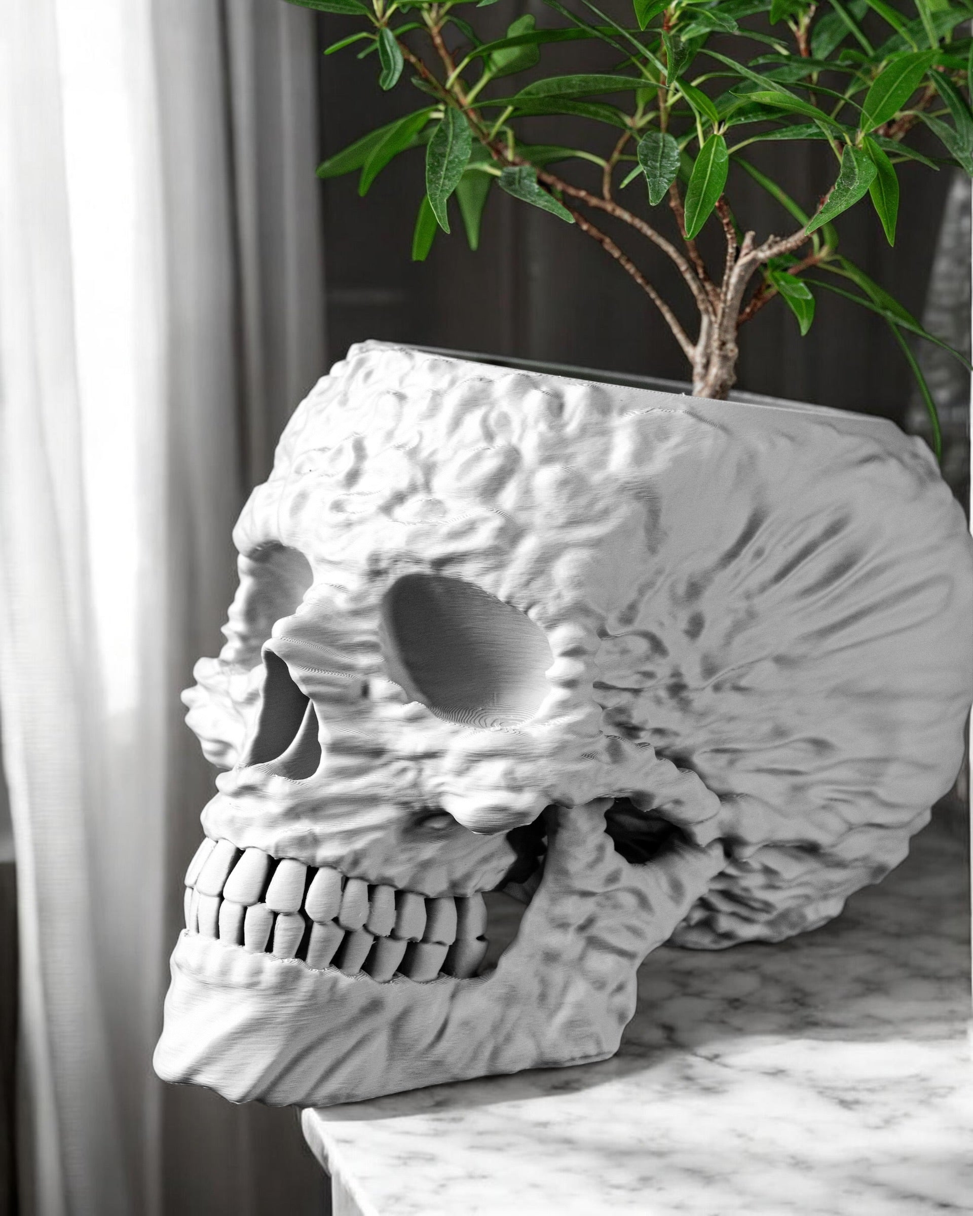Skull Planter Pot