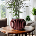 Sora Planter Pot