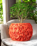 Spotted Planter Pot