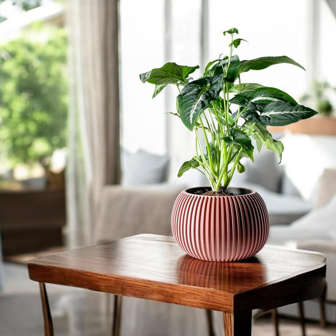 Surno Planter