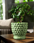 Tri-Wave Planter Pot