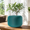 The Unis Planter Pot