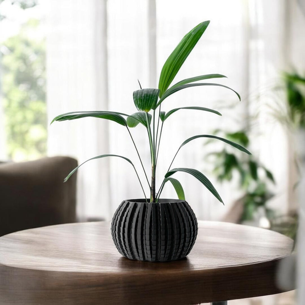 Uralo Planter