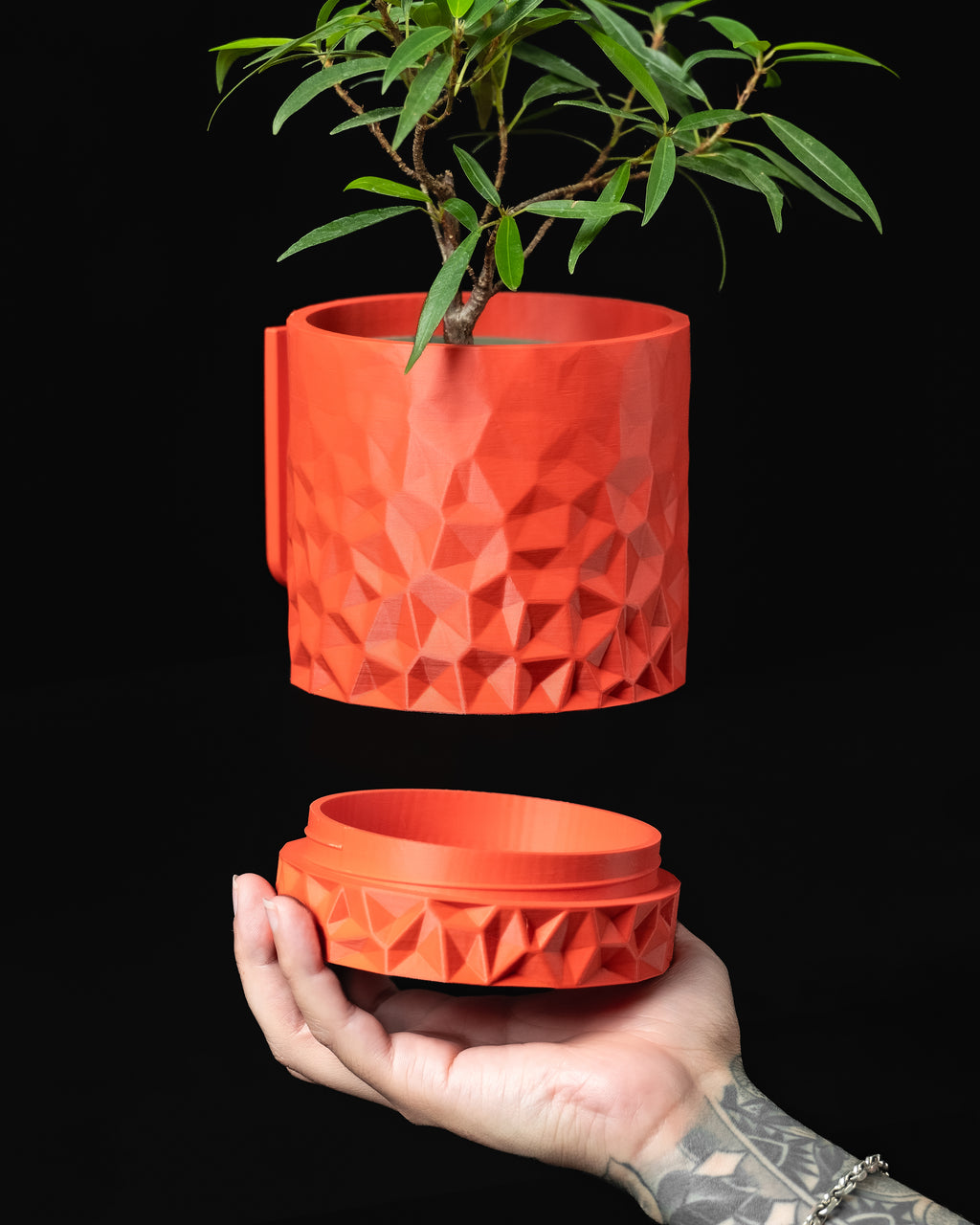 Voronoi Planter Pot