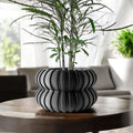 Wali Planter Pot