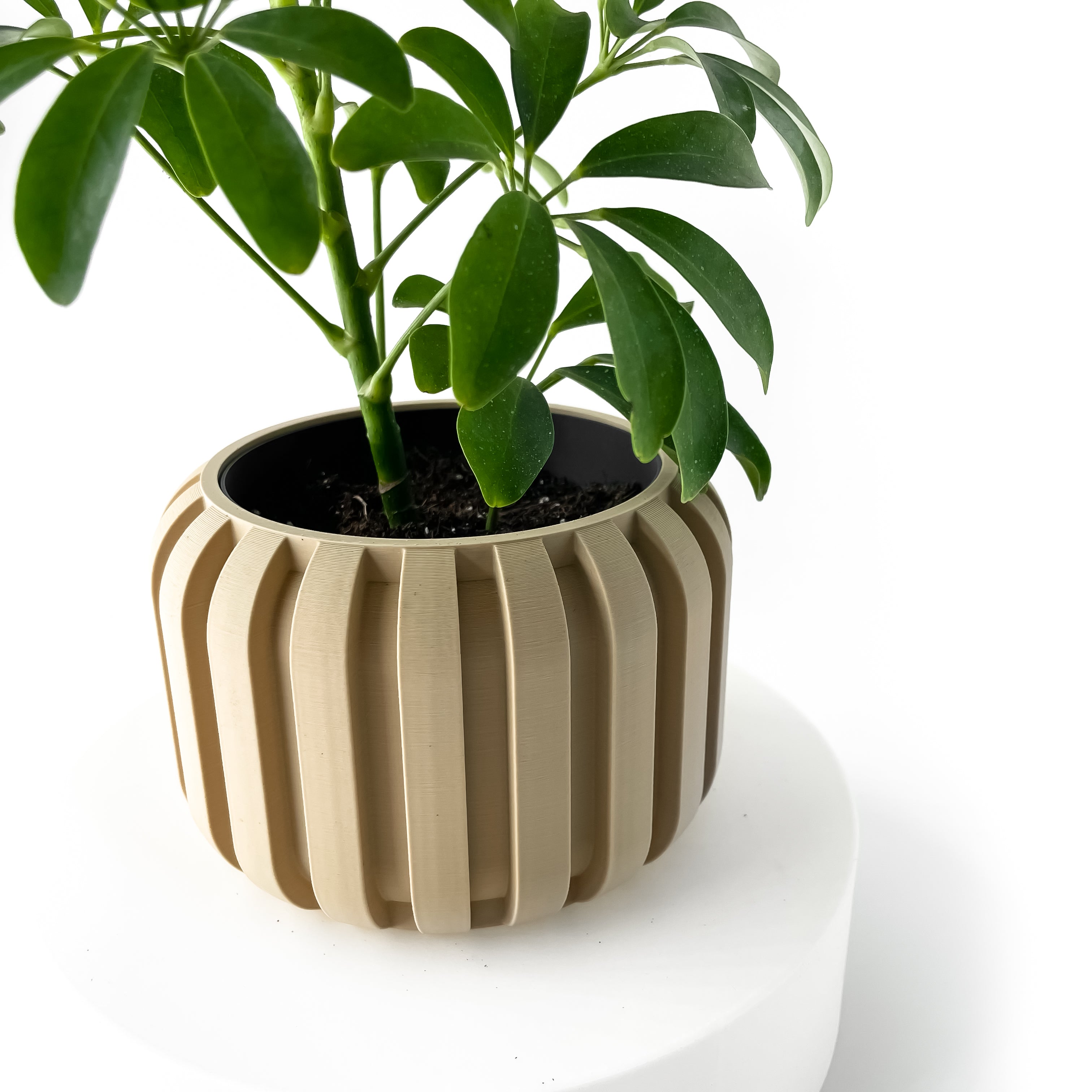 The Panu Planter Pot