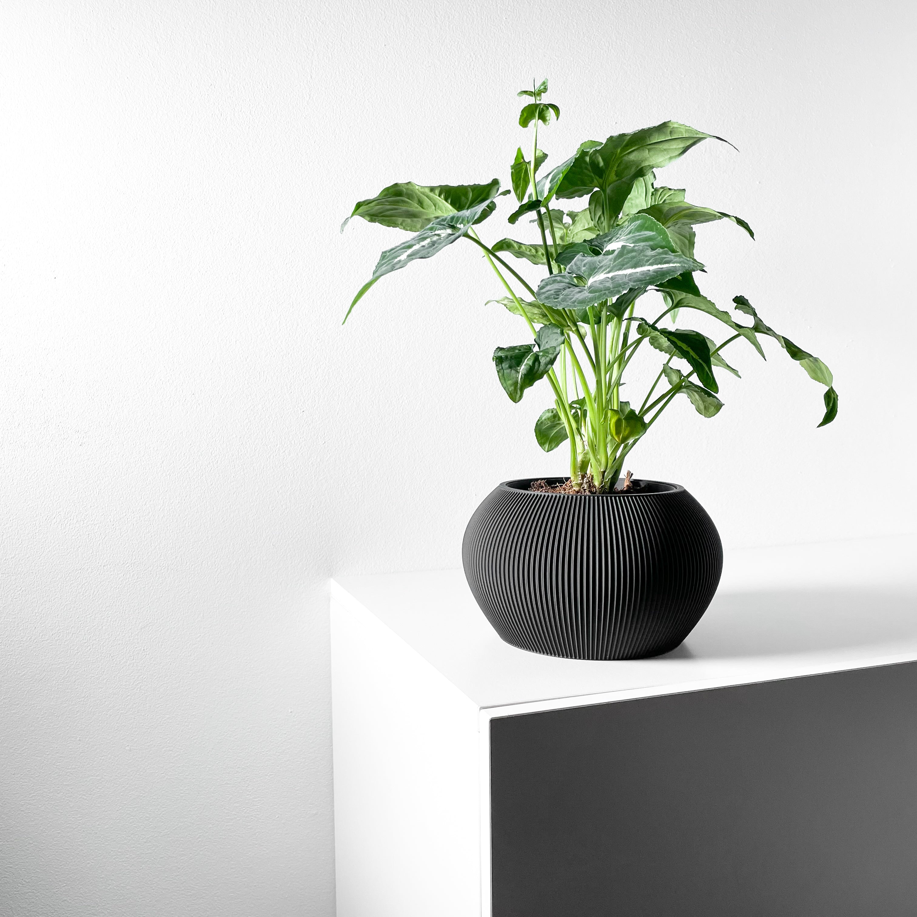 Melfi Planter