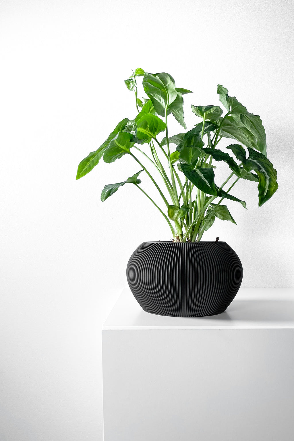 Melfi Planter
