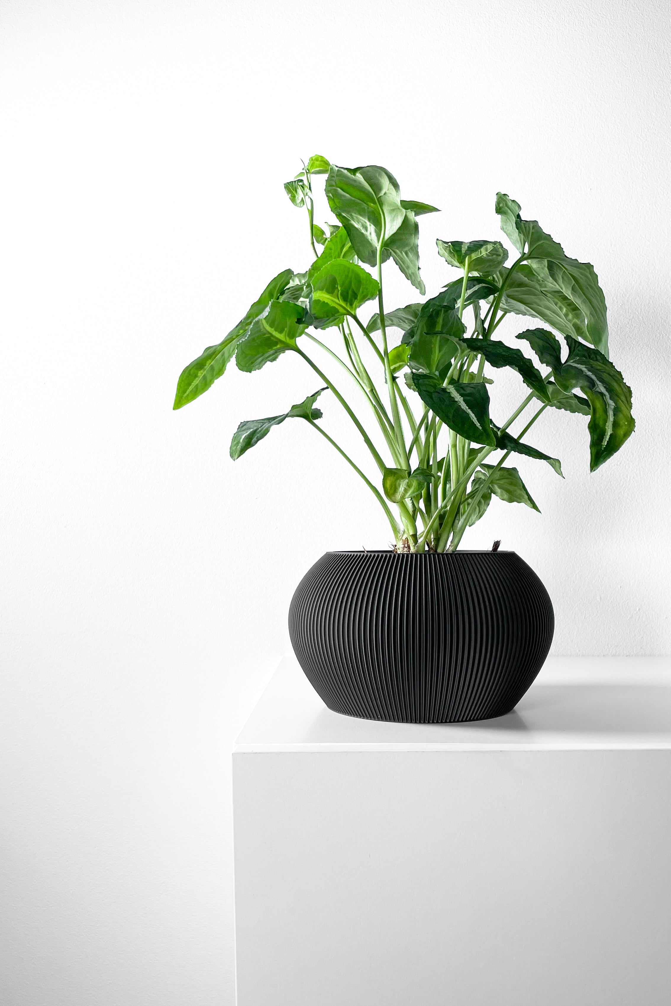 Melfi Planter