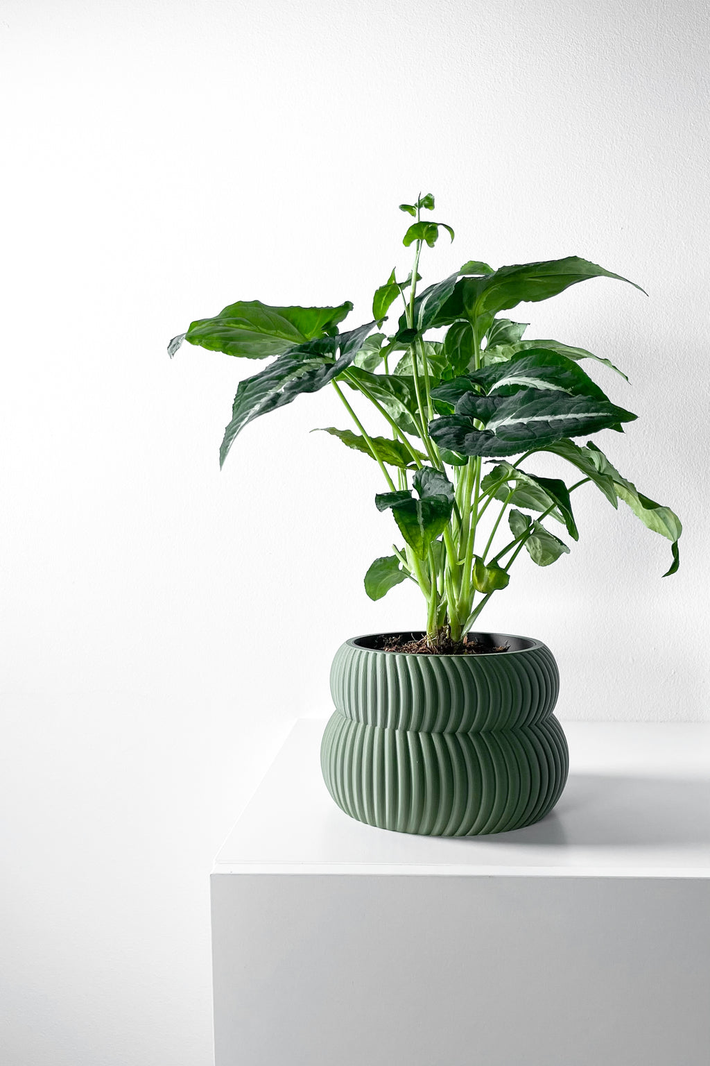 Quarn Planter