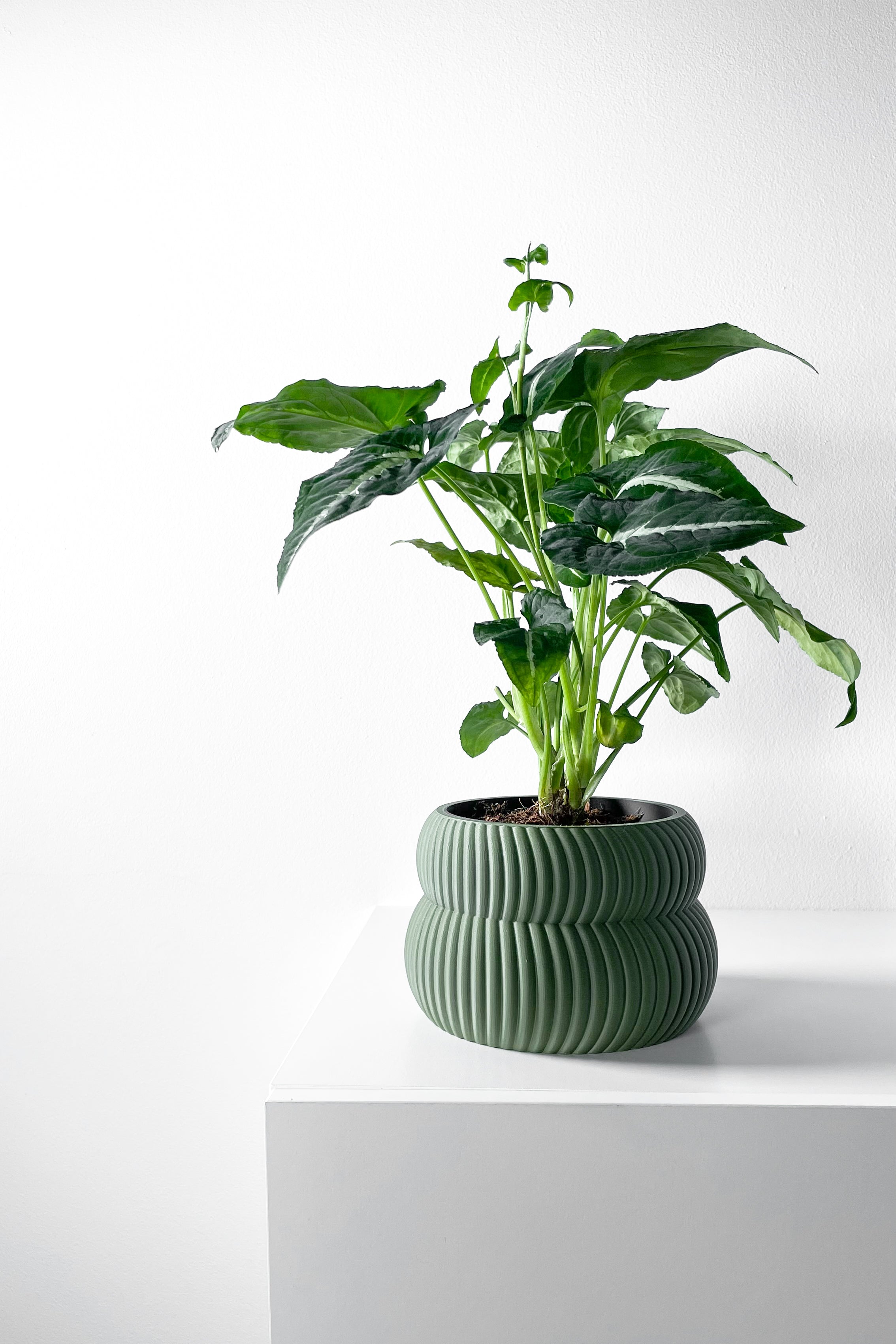 Quarn Planter