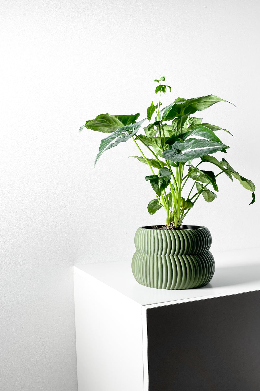 Quarn Planter