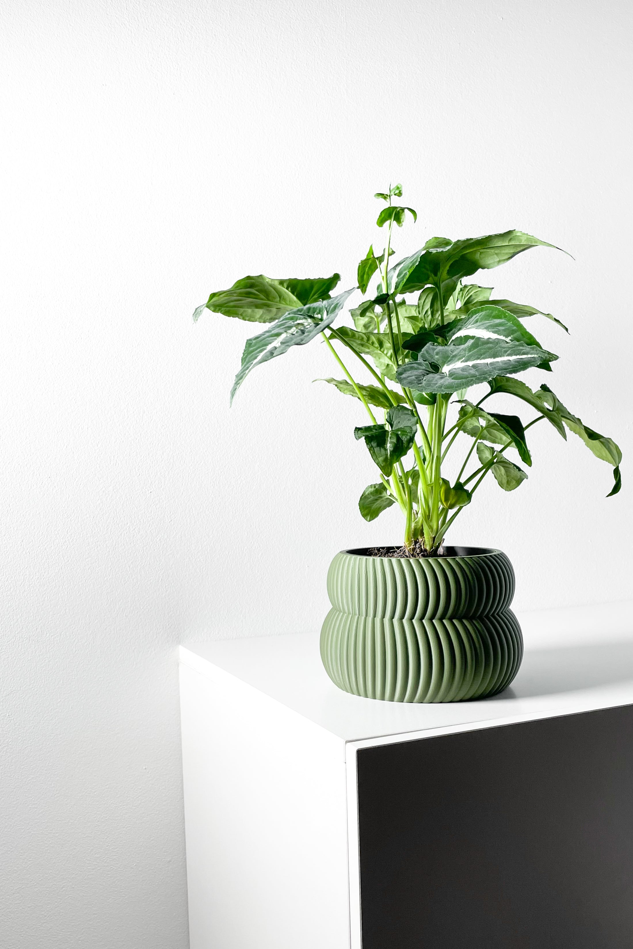 Quarn Planter