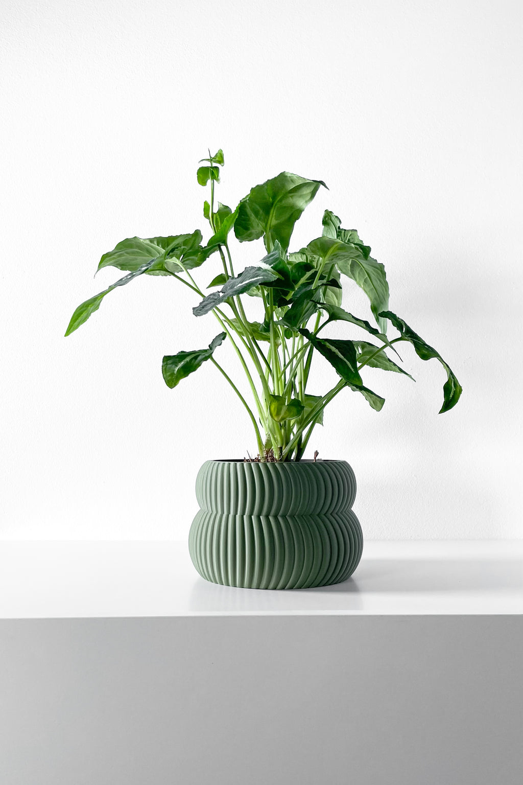 Quarn Planter