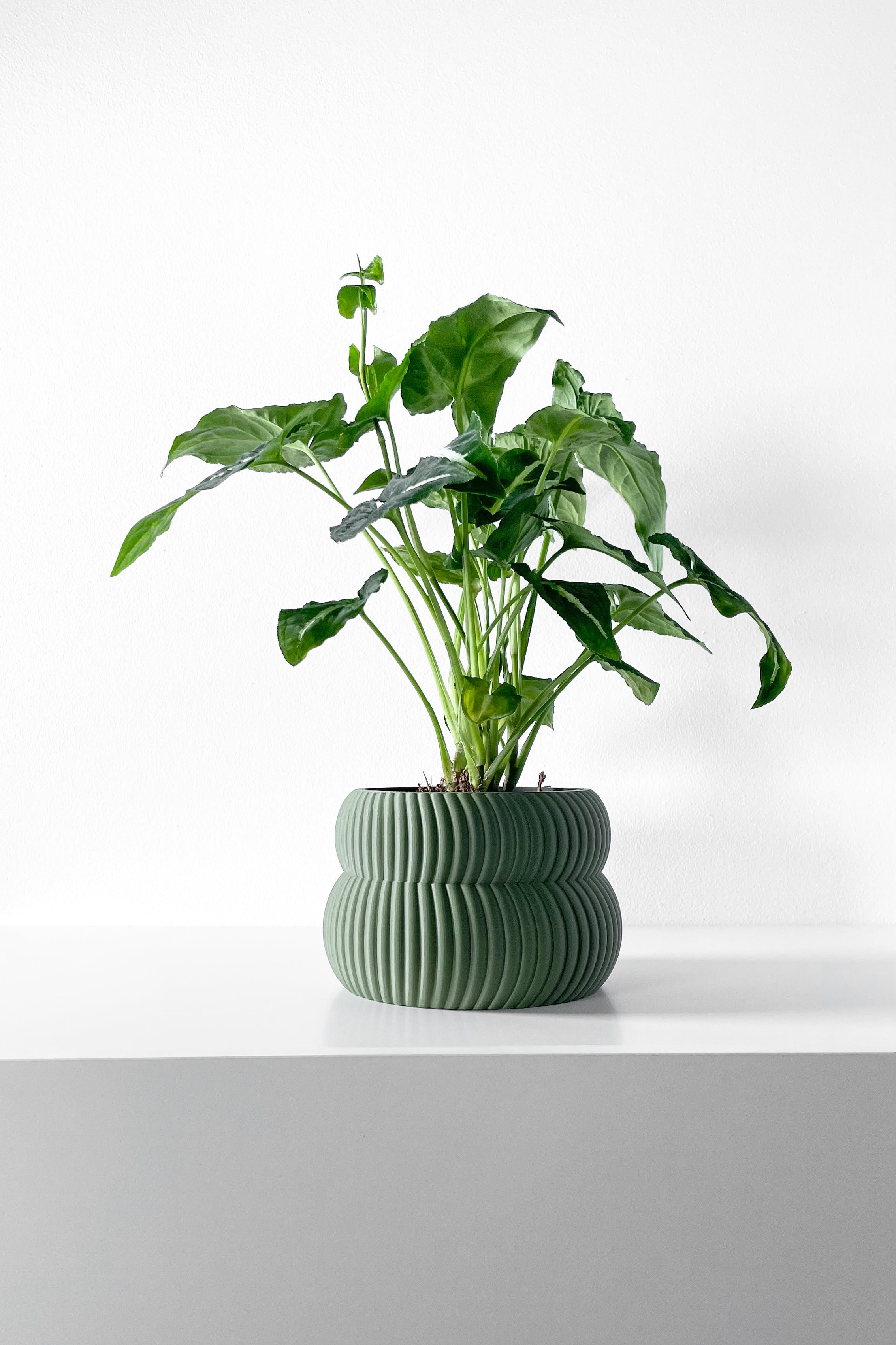 Quarn Planter