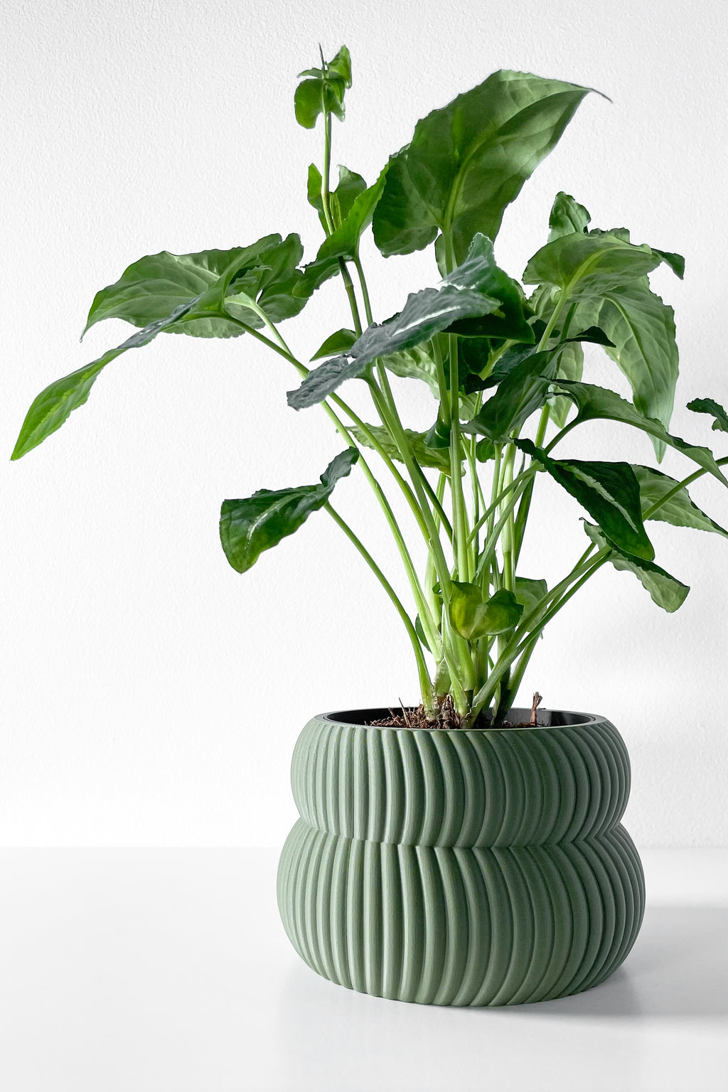 Quarn Planter