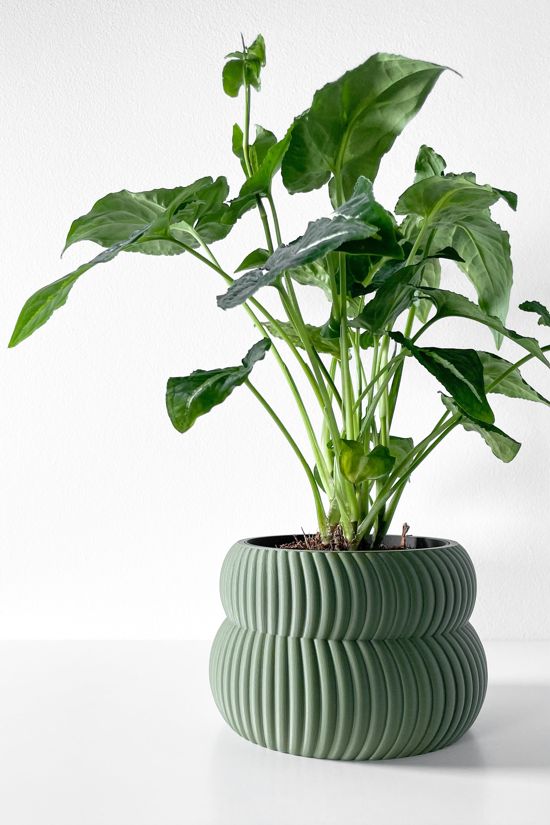 Quarn Planter