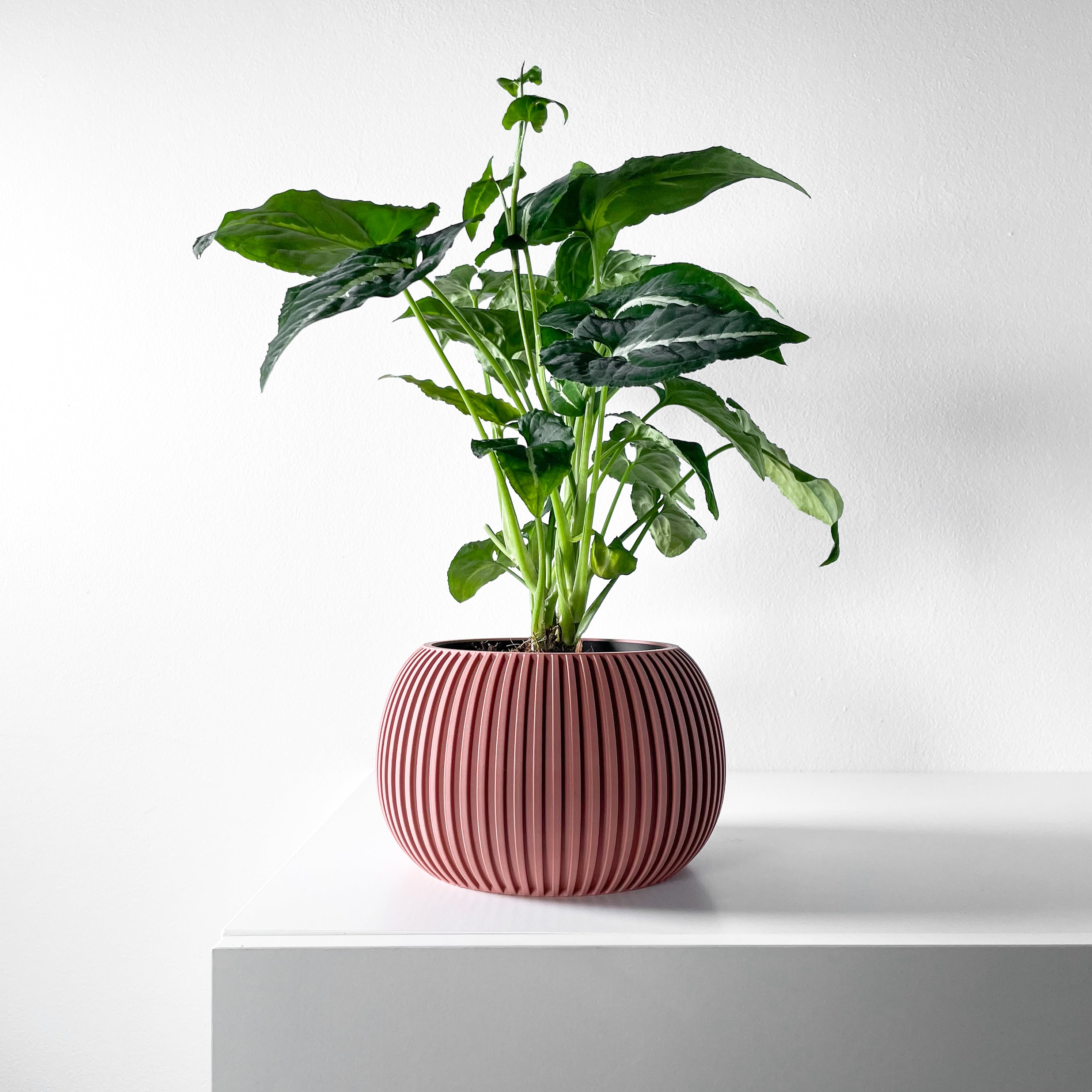 Surno Planter