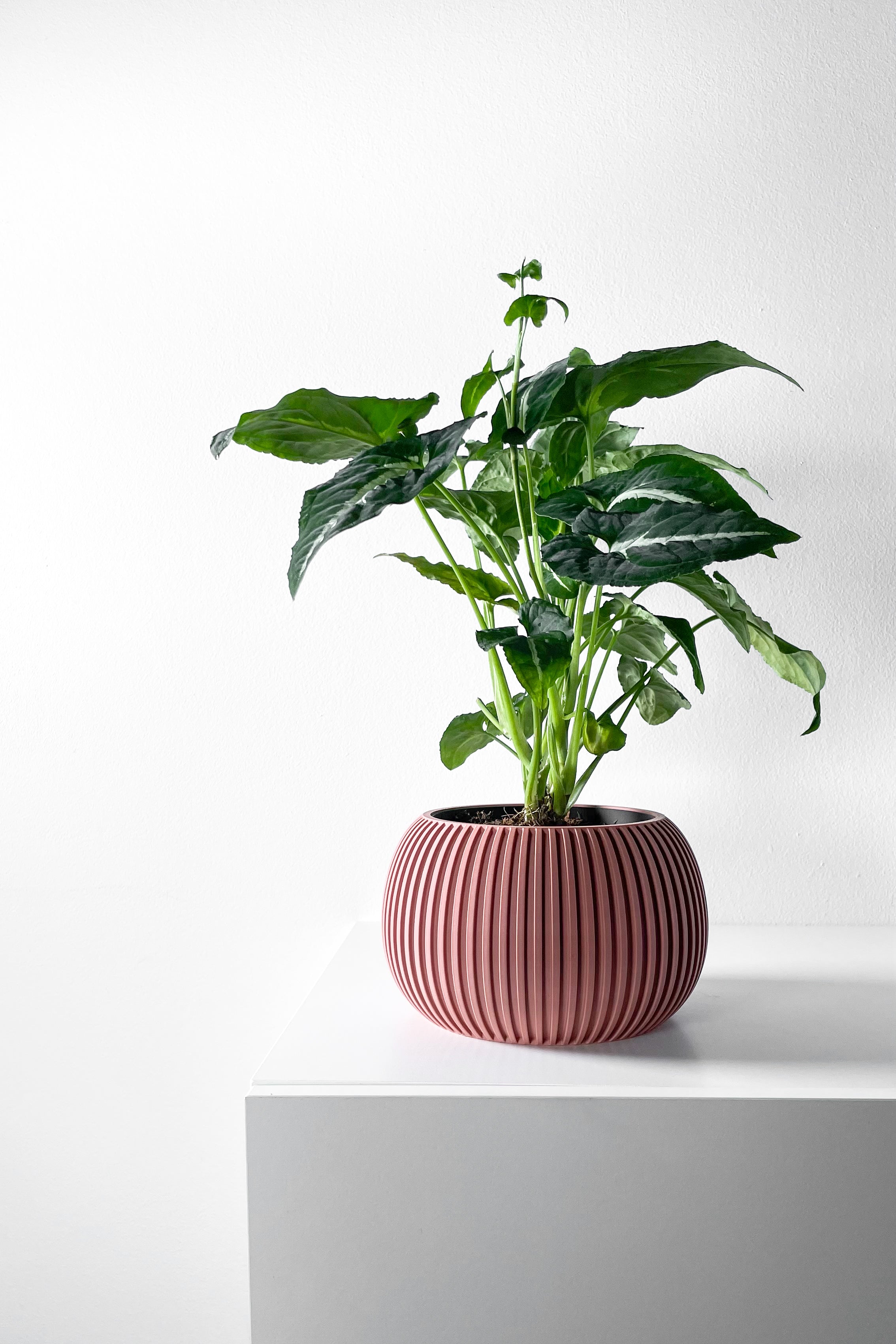 Surno Planter