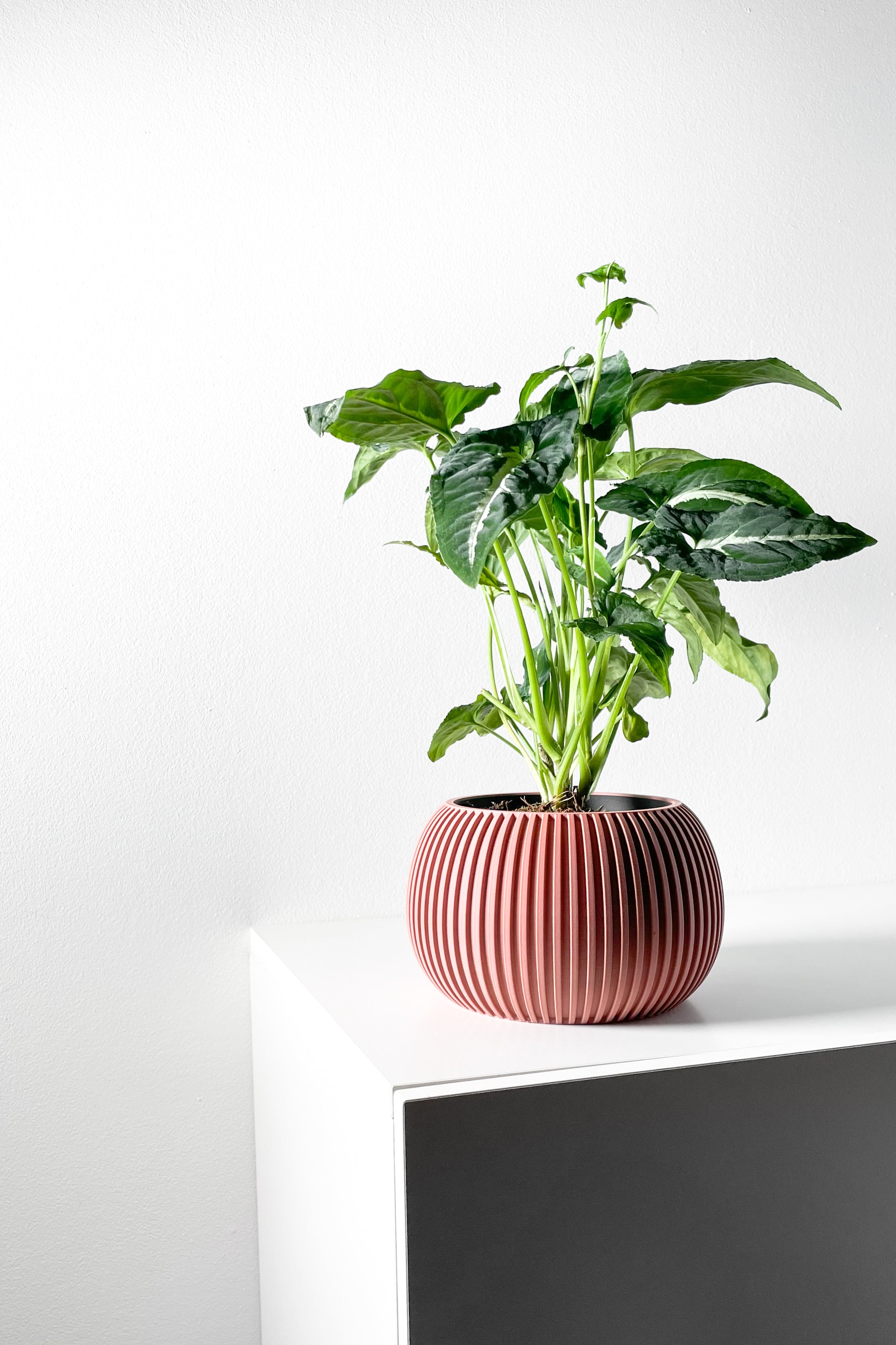 Surno Planter