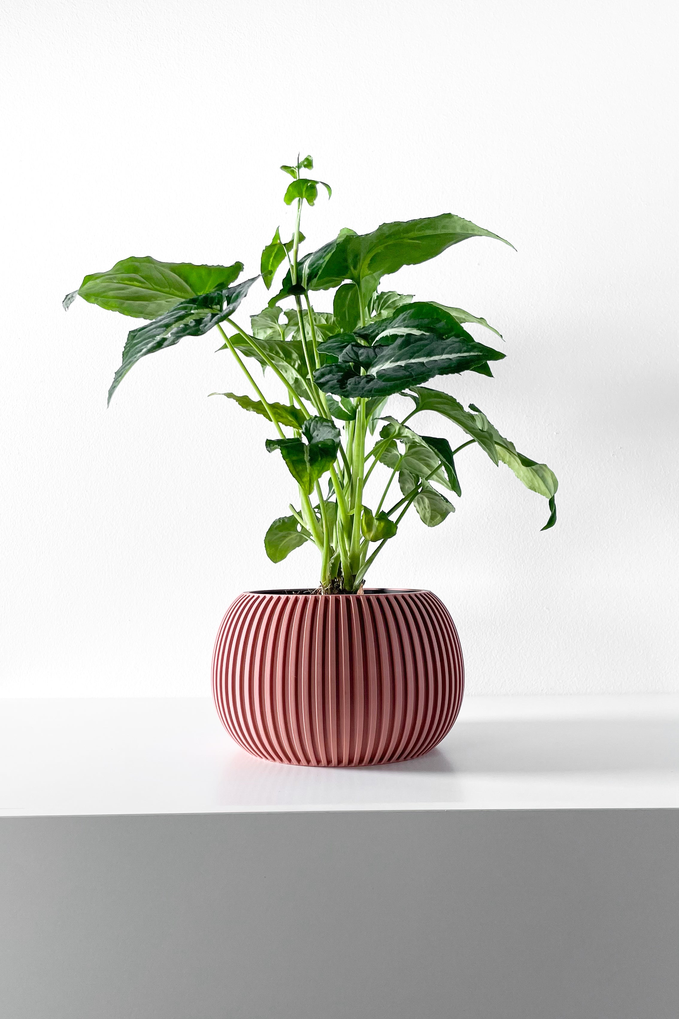 Surno Planter