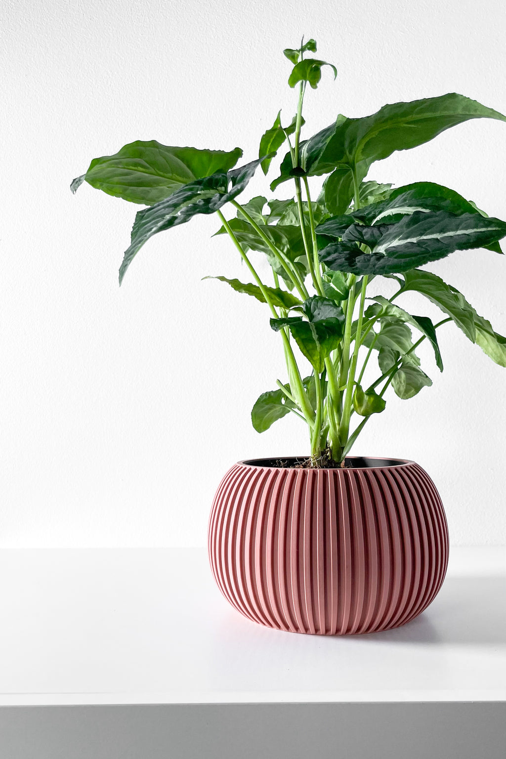 Surno Planter