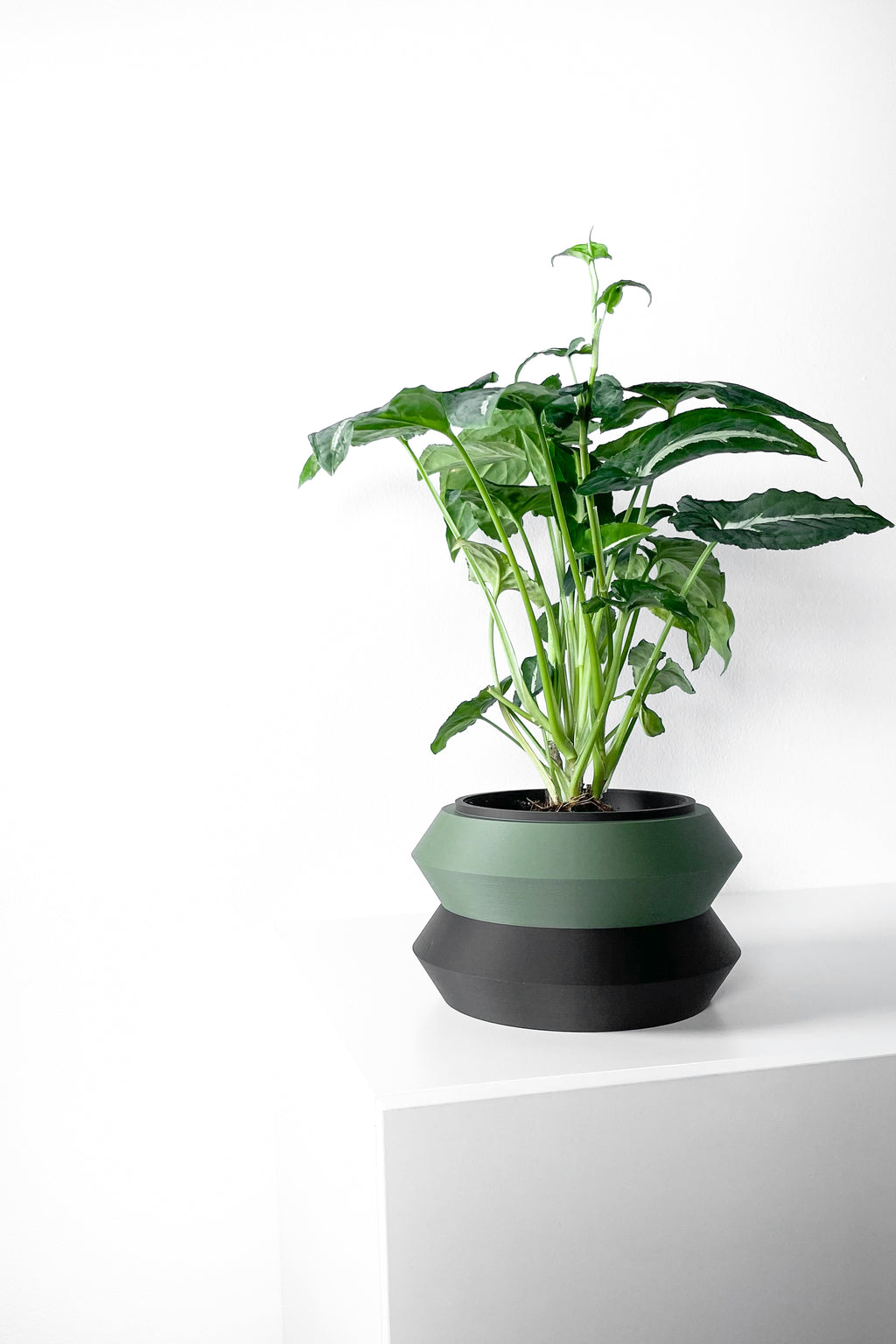 Grafel Planter