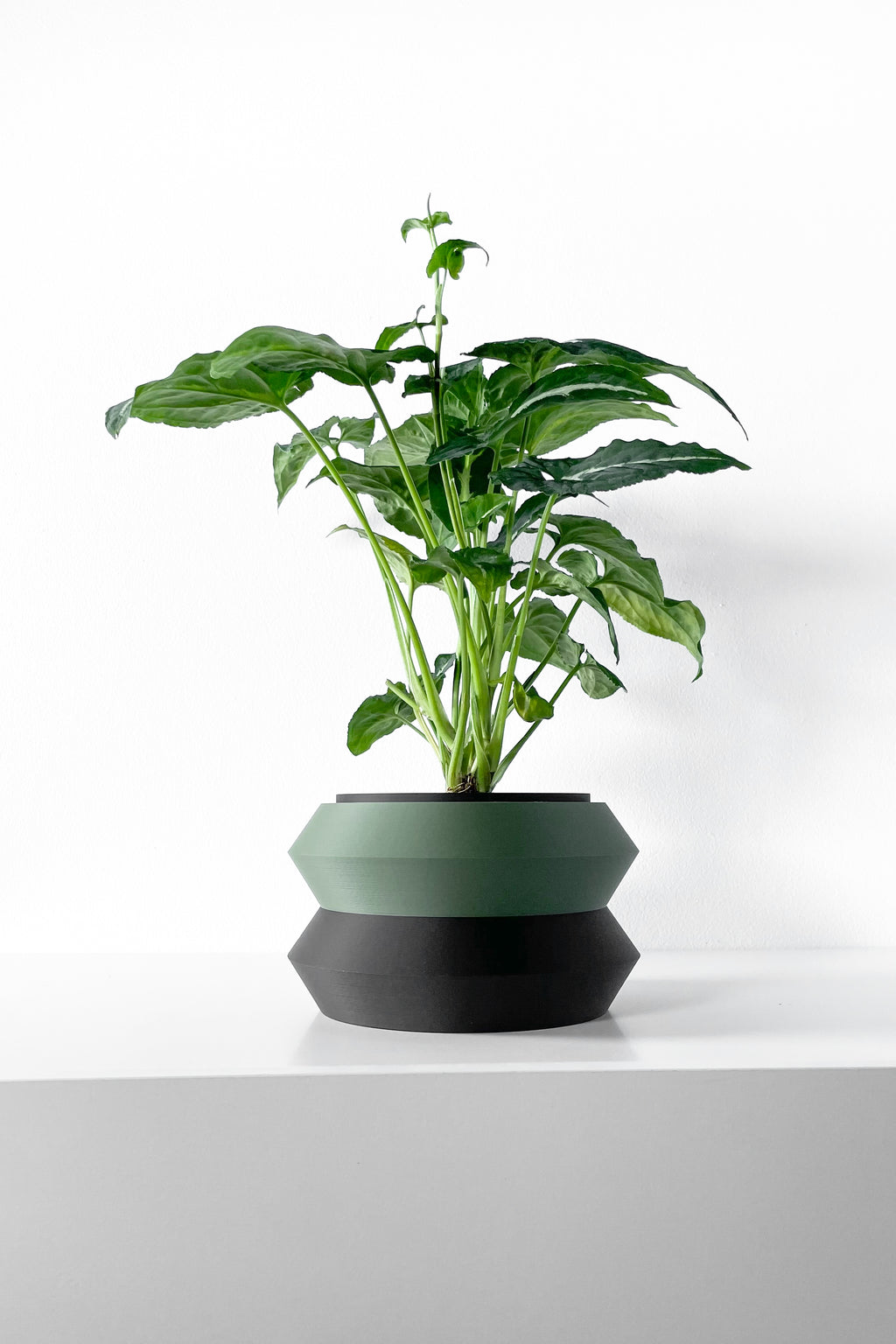 Grafel Planter