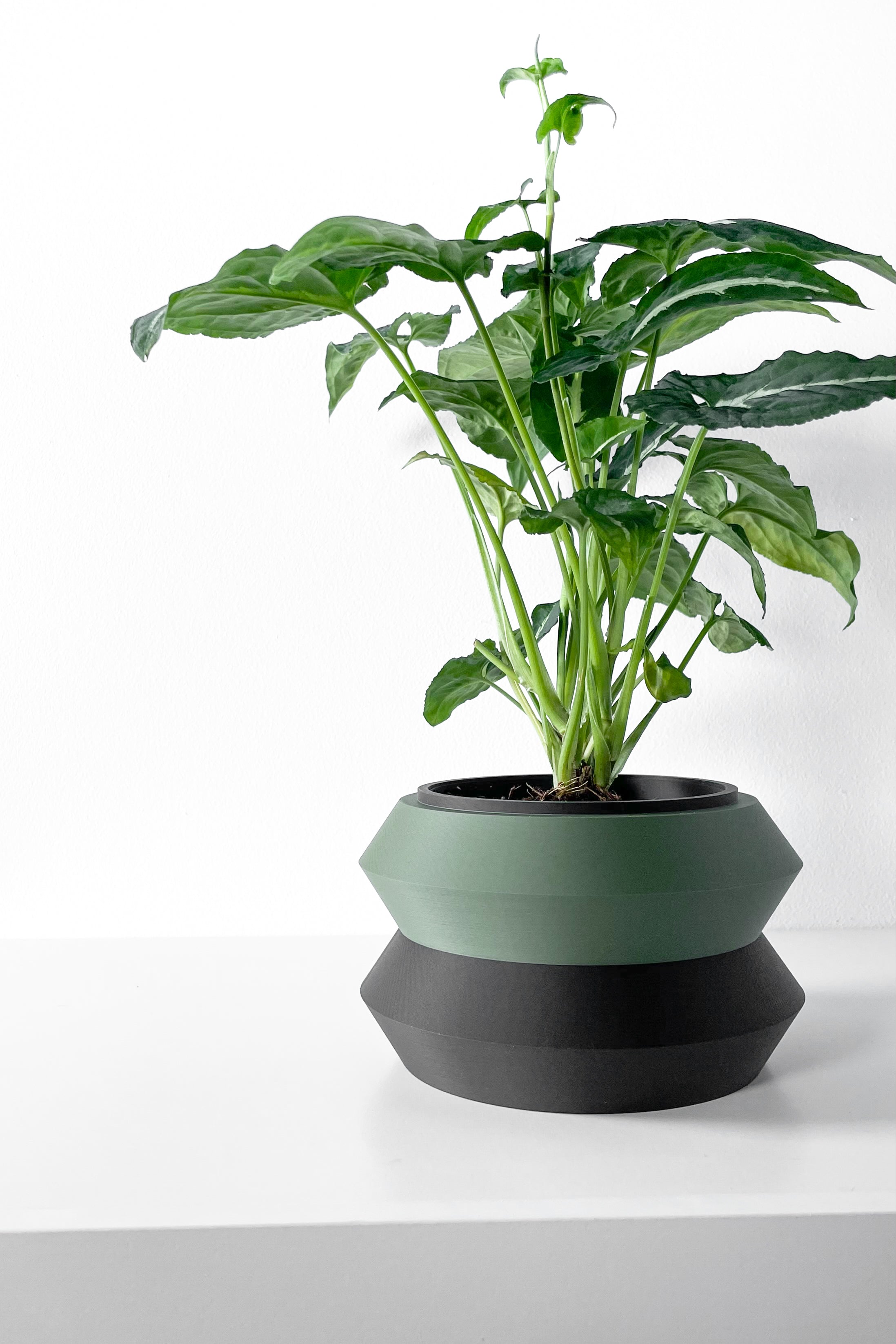 Grafel Planter