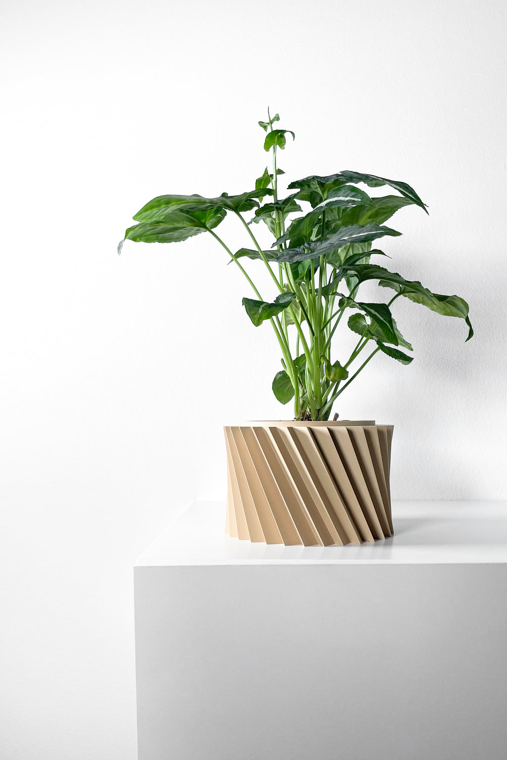 Wiron Planter