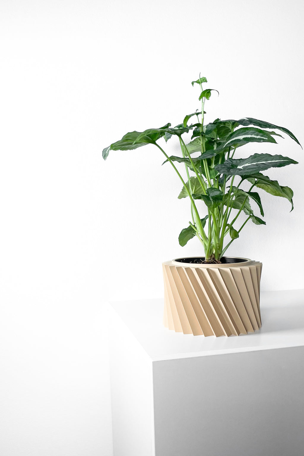 Wiron Planter