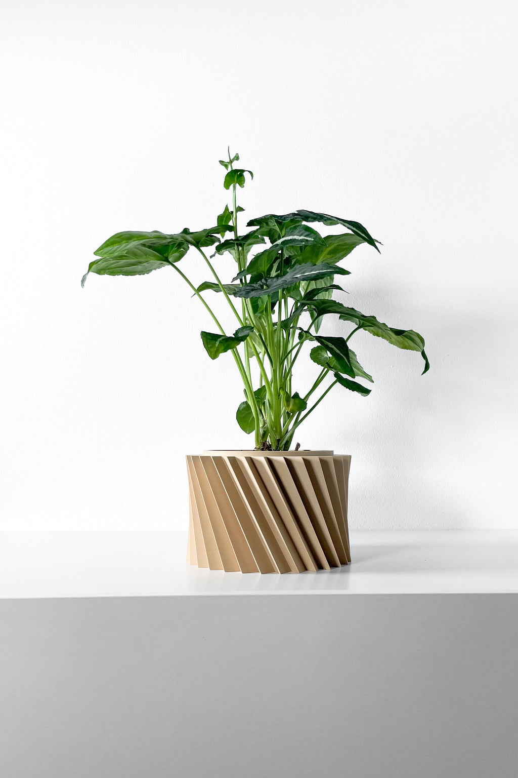 Wiron Planter