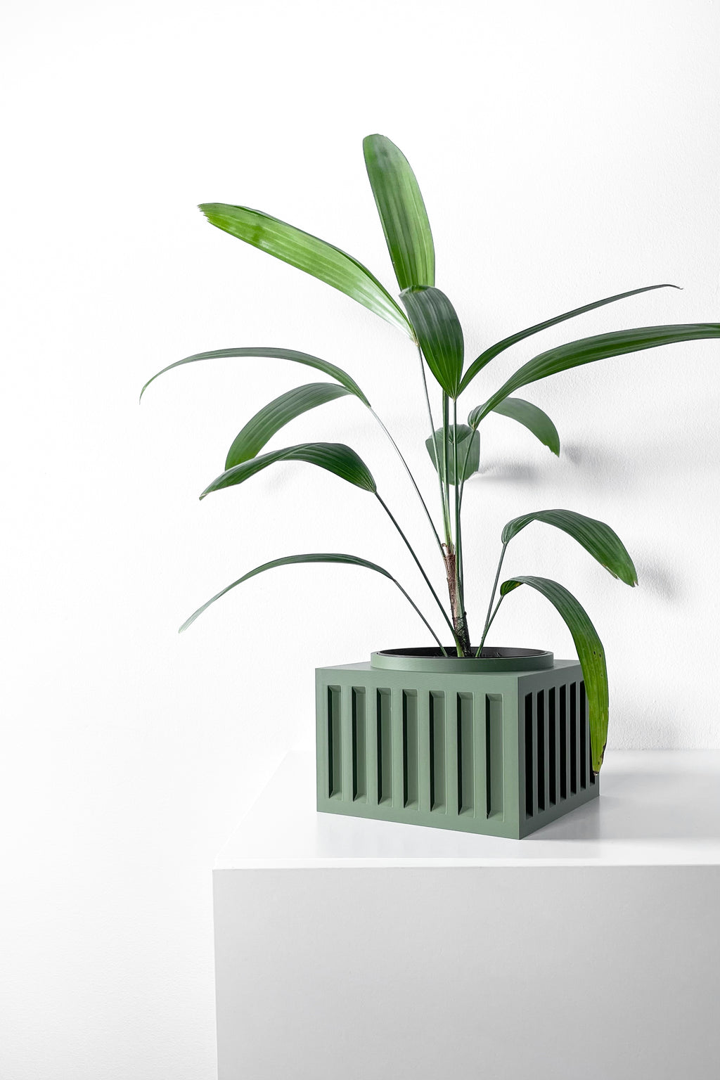 Larix Planter