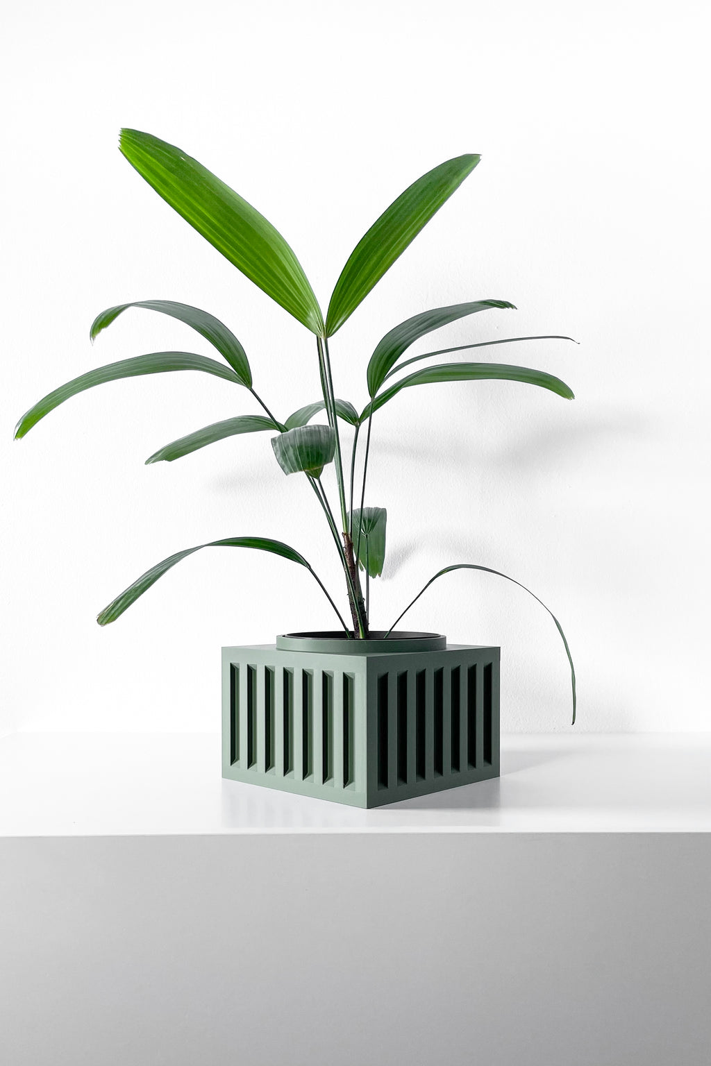 Larix Planter